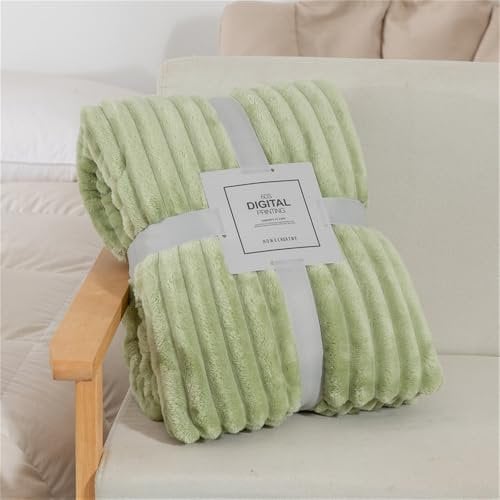 Hixingo Flanelldecke Einfarbig Decke Kuscheldecke Verdickt Flauschig Decke Weiche Warme Wohndecke Fleecedecke Winter Bequem Couch Decke Sofadecke Schlafzimmer Bettüberwurf (70x100cm,Hellgrün)