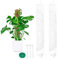 Varilla de musgo para Monstera Juego de 2 unidades – Soporte para enredaderas con velcro y clavos, varilla de 60 cm para plantas de interior, varilla de coco de plástico para plantas enredaderas