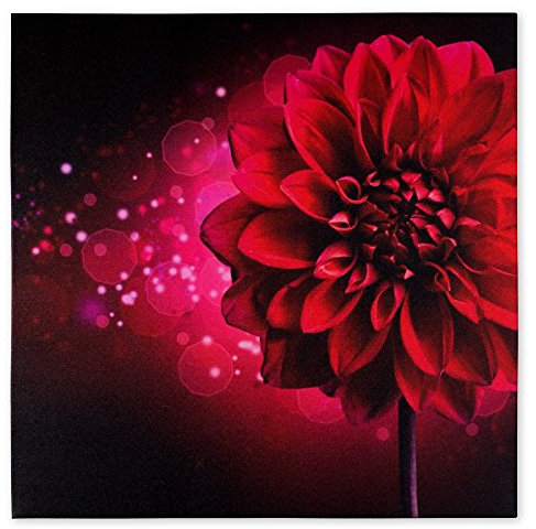 Wandbild Fotodruck Keilrahmen Bild Blume pink Dahlie Floral futuristisch 60x60cm