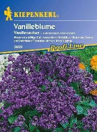 Sperli Blumensamen Vanilleblume Vanillezauber, grün