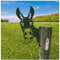 Bauernhof Spucktiere Kuh Rost Garten Metall Gartenstecker, Esel Hirsch Hahn Katze Deko Edelrost Baumstecker Ornament Metallkunst Tiere Metall Silhouette Gartenschilder Bauernhaus Garten Deko (B)