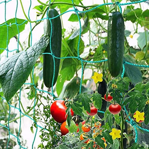 GDPLAN Ranknetz Gartennetze Kletternetz Großes Nylonnetz Rankhilfe Pflanzennetz Pflanzliche Kletterhilfen 2.5 x 2.0 Meter