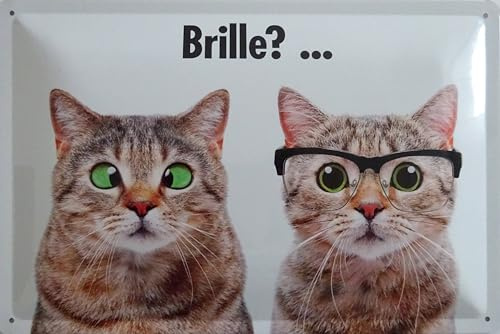 Blechschild Schild 20x30cm - Brille Katze schielen Hauttier Augen Optiker Arzt