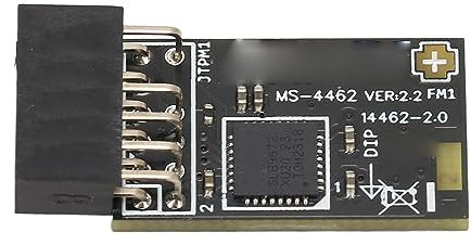 TPM2.0-Modul TPM SPI 12Pin-Verschlüsselungssicherheitsmodul mit Infineon SLB 9672 für Motherboards, Kompatibel mit 10 11