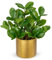 Hollyone Plantes artificielles en pot doré de 30 cm - Plantes artificielles comme de vraies plantes d'intérieur avec pots pour décoration de table, bureau, salle de bain, chambre à coucher, salon