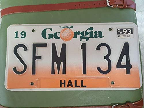 Inga Plaque d'immatriculation Georgia USA Plaque d'immatriculation Us 6x12