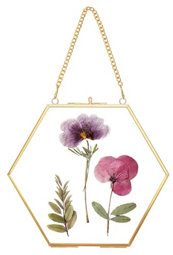 REDHUGO Handgefertigter Glasrahmen für gepresste Blumen, Doppelglas, Messing, schwimmender Rahmen, Wandbehang, rundes Bild, Rahmen für getrocknete Blumen, Poster, Heimdekoration, Sechseck, Gold, Höhe