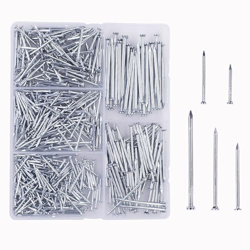 Kit di 510 chiodi in acciaio zincato, chiodi da appendere in 5 diverse dimensioni con lunghezza da 1,9 a 5 cm, chiodi in legno, chiodi da parete ordinati nella scatola assortita