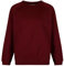 Trutex Unisex 260g Crew Neck Sweatshirt, Maroon, 15 Years UK