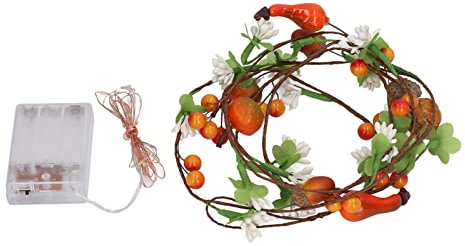 Nimomo 2 M 20 LEDs Lichterkette Mit Blättern, Früchten, Rattan Für Outdoor, Camping, Haus, Schlafzimmer, Weihnachten, Hochzeit, Dekorationen