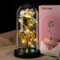 Geschenke für Frauen,Ewige Rose im Glas mit LED Lichter,Muttertagsgeschenk für Mama,Künstliche Konservierte Ewige Blume im Glas Geschenk zum Jahrestag/Valentinstag/Geburstag/Hochzeit