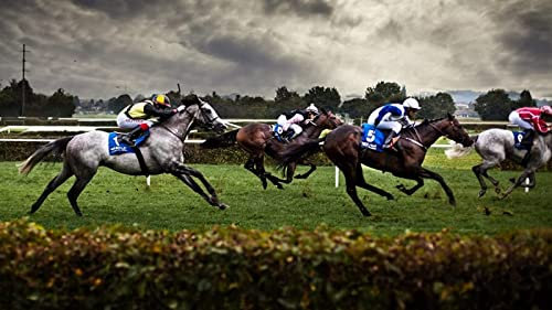 Xinqidianltd Puzzles For Adults 1000 Piece Horse Racing 1 Jigsaw Puzzles For Adults,Children Educational Games Entertainment Gift,Home Educational Games Diy Toys Size:70 * 50Cm