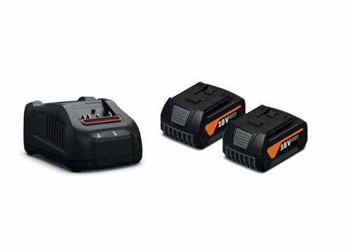 FEIN Batteria GBA 18 V (capacità 5,0 Ah, batteria compatibile con tutti gli utensili a batteria da 18 V con presa per batteria da 18 V AMPShare o Bosch Professional.