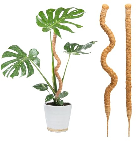 Bamworld Palo di muschio 2 pezzi da 69,8 cm per supporto per piante Monstera Coco Coir Plant Support per piccole piante rampicanti in vaso per crescere verso l'alto