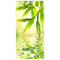 Bilderwelten Raumteiler Green Ambiance I 250x120cm inkl. transparenter Halterung