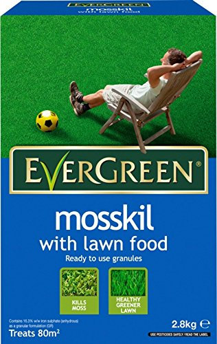 EverGreen Mosskil With Lawn Food 80m2