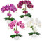 PASCH® 4er Set Orchideen künstlich in Hochglanz-Keramiktöpfen (40cm) | Kunstblumen im Topf | Kunstblumen wie echt | künstliche Orchideen im Topf | künstliche Blumen im Topf | Kunstblume Orchidee