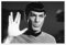Mr. Spock - Star Trek Poster 150 x 100 cm Schwarz-Weiß Wandbilder Wanddeko