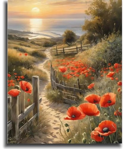 vooiceofco Pintar por Numeros Adultos, DIY Pintura por Números, Kit de Pintura al óleo de Lienzo DIY para con Pinceles, Pigmento Acrílico 40 x 50cm-Sendero costero