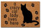 MsMr Doormat Entrance Floor Mat A Crazy Cat Lady Lives Here Mat Indoor Decorative Home and Office Door Mat 23.6 by 15.7 Inch