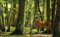 Forwall Fototapete Hirsch Wald - inkl. Kleister - Bäume Natur Tiere Vlies Tapete Wandtapete Moderne 2287V8 368cm x 254cm Schlafzimmer Wohnzimmer