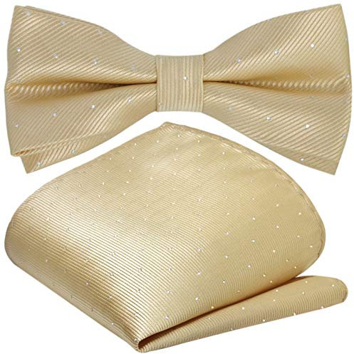 GASSANI 2Tlg Fliegenset, Festliche Beigene Herren-Fliege Silber Gepunktet, Hochzeitsfliege Anzug-Schleife Vor-Gebunden Ein-Stecktuch Pünktchen