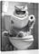 OWNANRTHM Cat Bathroom Canvas Wall Art - Funny Black and White Animal Picture - Cat on Toilet Painting Decor for Bathroom Wall - Framed 12x16 Inch