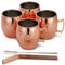Oak & Steel - 8 Large Moscow Mule Cocktail Mugs, 550ml - Hammered Design Copper Cups Gift Set with Stainless Steel Straws Cleaning Brush