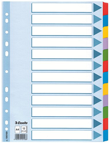 Leitz Esselte Register für A4, Deckblatt und 12 Trennblätter mit Taben, Blau/Mehrfarbig, Recyclingkarton, 100169