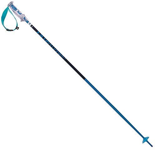 Völkl Herren Skistock Phantastick 2 135 2016