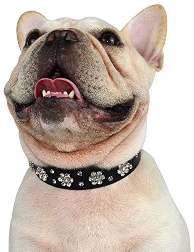 Hifrenchies Niedliches Strass-Blumen-Muster, Hundehalsband, PU-Leder, glitzernde Kristalldiamanten, Halsband für Französische Bulldogge/kleine mittelgroße Hunde und Katzen (XS, schwarz)