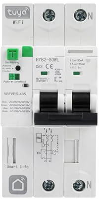 DewinLVD WIFI Interruttore Automatico Intelligente, Interruttore Automatico 2P 63A Protezione Contro le Perdite Riarmabile Tuya Smart life APP Controllo Remoto