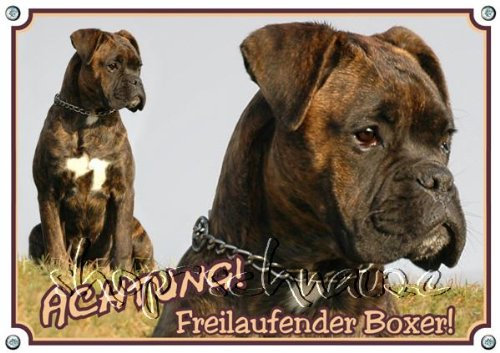 Petsigns Hundeschild Warnschild Boxer - TOP haltbare Qualität aus 1,5 mm Metallplatte, DIN A5