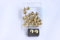 Telliswelt 25 Qualitäts Ziernägel Polsternägel Nagel - Made in Germany- 11mm Gold
