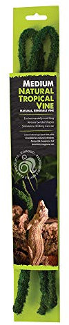 Komodo Vigne Tropicale Naturelle, Vert, Moyen
