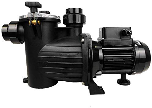 well2wellness® Selbstansaugende Filterpumpe Umwälzpumpe MIDA.Alpha 8 mit 10 m³/h | Selbstansaugend