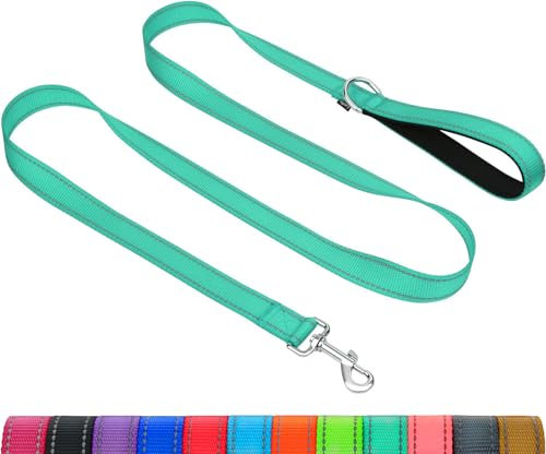 Taglory Hundeleine Kleine Hunde Leicht | Doppelseitig Reflektierend | Gepolsterter Griff | Bis zu 10 kg | 1.8m x 2cm | Türkis