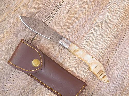 Generico Coltello Foggia Antica 24 CM Damasco Coltello Storico SARDO Manico in Corno di muflone pattada Art 1