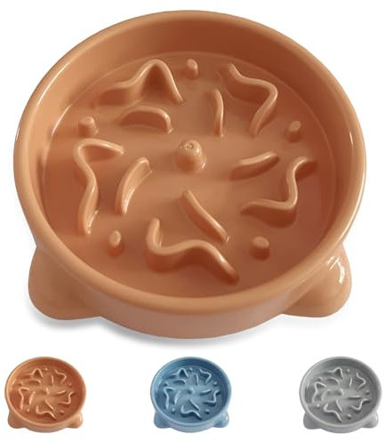 LOS ANDES Slow Feeder Dog Bowl Small, 16cm Slow Eating Dog Bowl Pet Puppy Anti-Choking Bloat Non Skid Pet Bowl Puzzle Feeder Healthy Eating Bowl (Small, Orange)