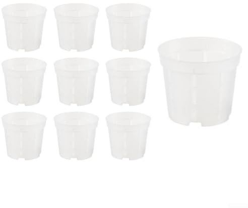 Klare Drainage Blumentöpfe für Orchideen 10er Set Stabile Transparente Töpfe für Innen und Außen (Mittel)