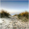 Wallario Glasbild Weg durch die Dünen zum Strand am Meer - 30 x 30 cm Wandbilder Glas in Premium-Qualität: Brillante Farben, freischwebende Optik