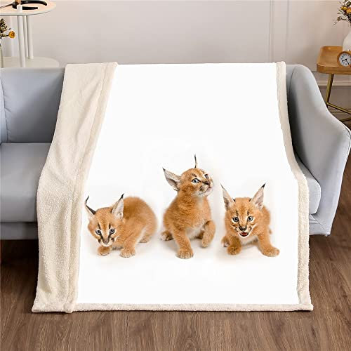 ENEN 3D Gedruckte Decke Fleecedecke Mikrofaser Weich Wärme Gemütlich Wohndecke Tagesdecke Bettüberwurf Erhältlich Dicke Sofadecke Deckeldecke (229x229cm,Luchs Katze)