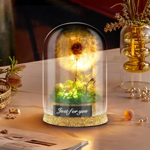 Umllpet Wunscherfüller mit Led Licht, Echte Pusteblume Im Glas Ewig Haltbar Wunscherfüller Pusteblume Geschenk für Frauen Mädchen Freundin Schwester Geschenkidee Geburtstag Hochzeit Deko (6X8cm)