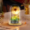Umllpet Wunscherfüller mit Led Licht, Echte Pusteblume Im Glas Ewig Haltbar Wunscherfüller Pusteblume Geschenk für Frauen Mädchen Freundin Schwester Geschenkidee Geburtstag Hochzeit Deko (6X8cm)