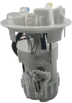 Gruppo Pompa Carburante Per Citroen Per Peugeot DS C3 C4 208 308 301 Gruppo Modulo Pompa Carburante 9674466680 55063615 9674467780 702552500 Pompas Benzina