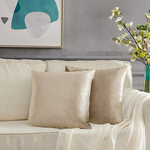 GIGIZAZA Samt Kissenbezug 60x60 cm Kissenbezüge Sofakissen Kissenhülle Dekokissen für Wohnzimmer Schlafzimmer Auto 2er Pack Champagner