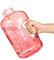 Borraccia Acqua, 2.5 Litre Bottiglia Acqua con cannuccia e manico, Borraccia Palestra senza BPA, borraccia con indicatore di tempo per ricordare l'ora di bere, Ideale per All'aperto, Yoga e Lavoro