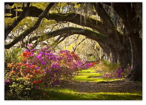 H1981 Wandbild, 70 x 50 cm, Eiche