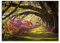 H1981 Wandbild, 70 x 50 cm, Eiche