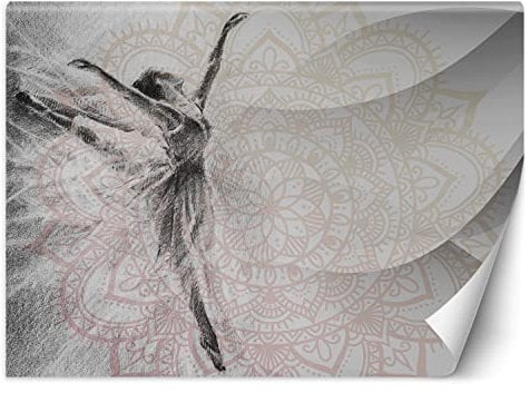Feeby Photo Murale Intisse Ballerine Ornement Esquisser 350x245 cm gris Déco Murale Tableaux Muraux À La Maison Chambre à Coucher, Salon, Chambre D'amis Danse Mandala Femme